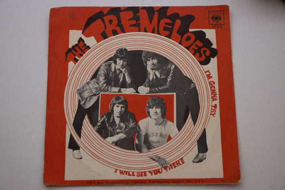The Tremeloes – I'm Gonna Try / I Will See You There, Vinyl, 7
