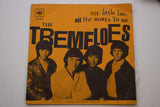 The Tremeloes – My Little Lady, Vinyl, 7", 45 RPM, 1968